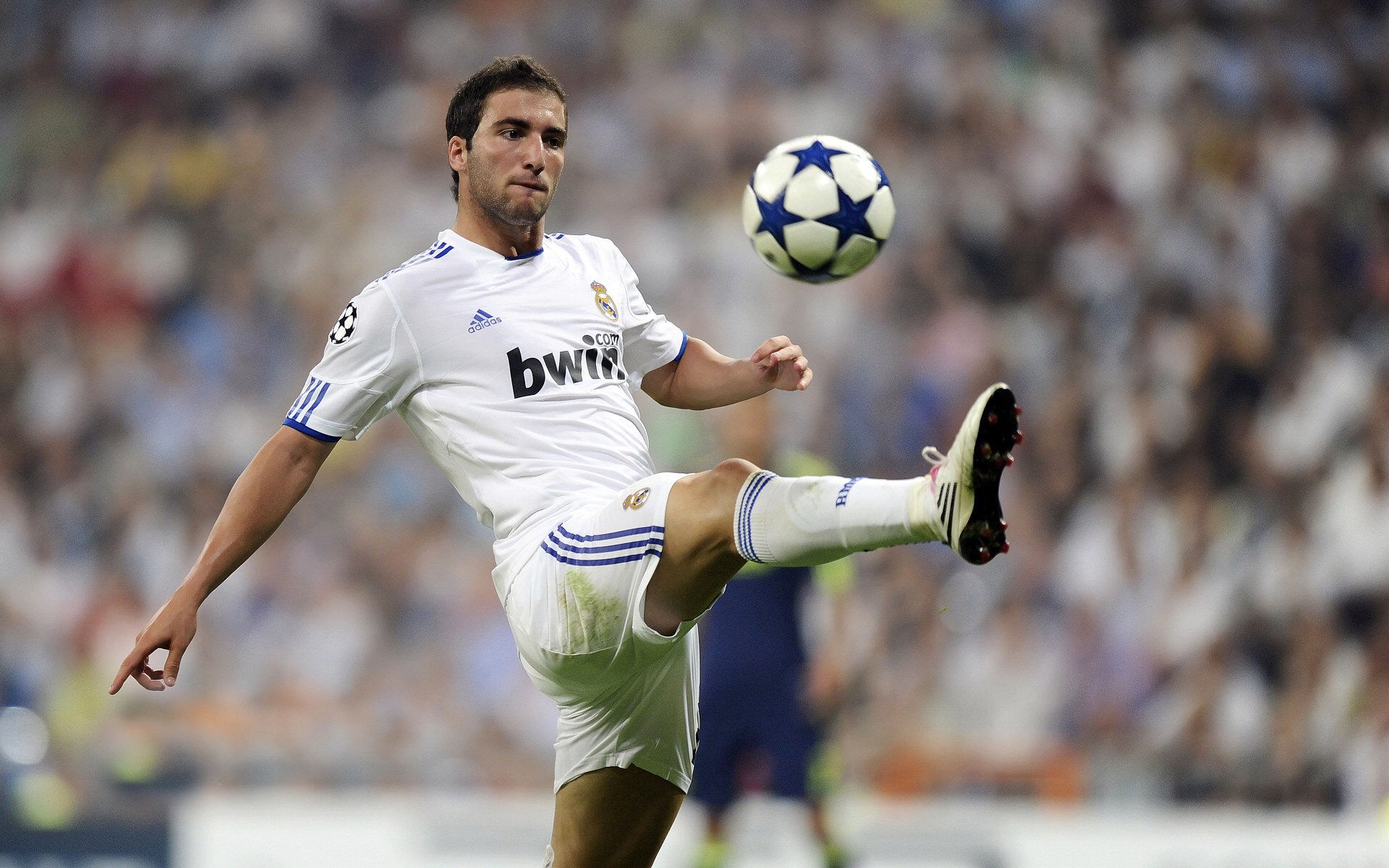 开云体育备用-健美比赛：雕塑般躯体展示无尽活力，健美健身比赛