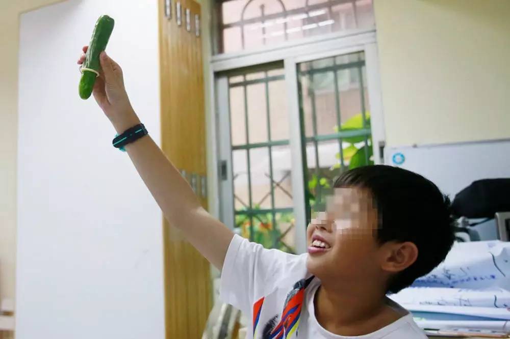 体育夏令营市场火爆，家长选择需注意这些的简单介绍