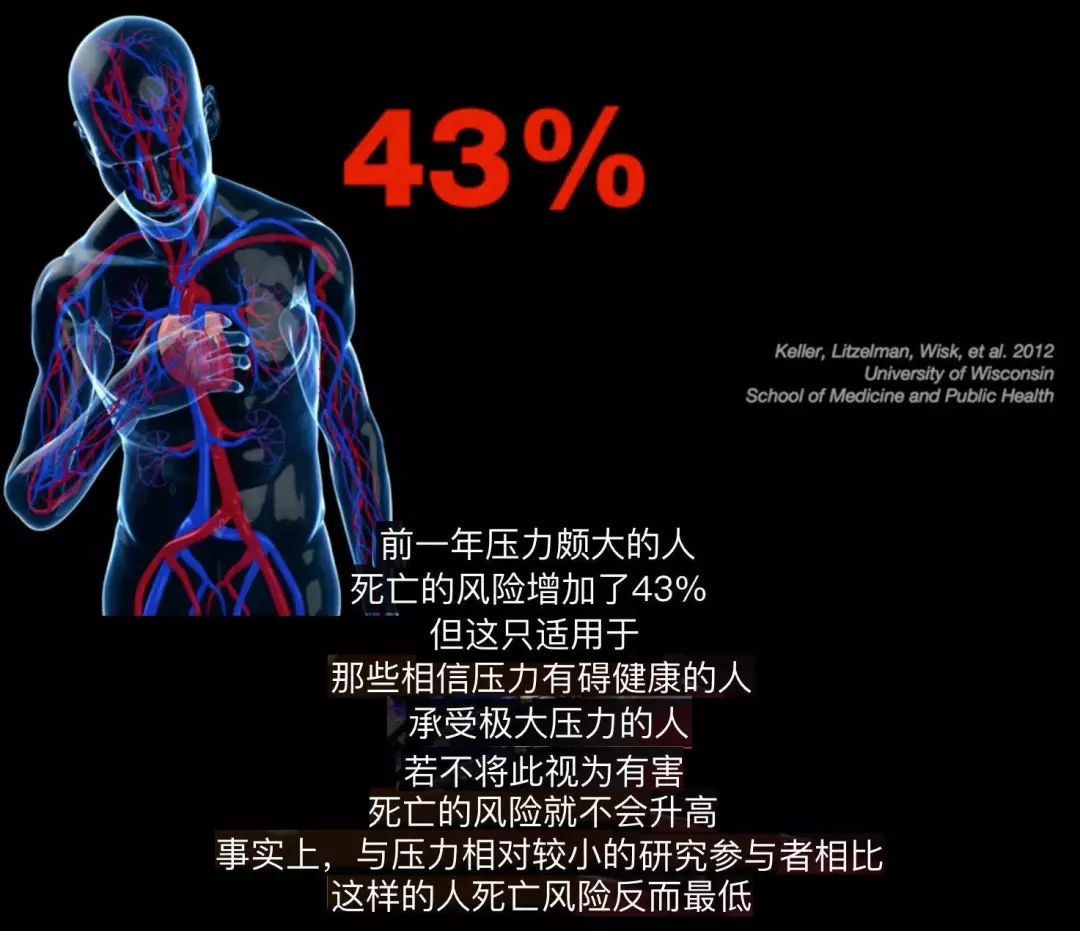 关于《游戏平衡与竞技性：电竞的核心问题》的信息