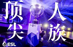《退役不退圈：那些转型成功的前职业选手》的简单介绍