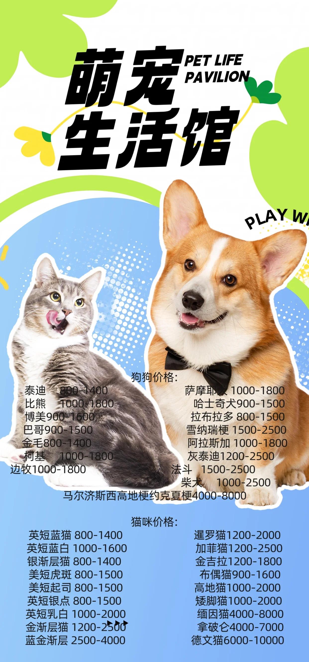 开云体育在线下载-包含球员的宠物合集：有狗有猫还有羊？的词条